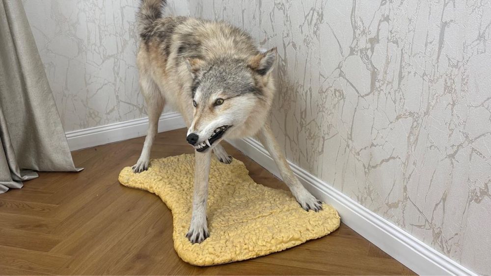 Сувенирный волк для интерьера
