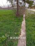 Teren 3000 mp rate Bucov intravilan / extravilan