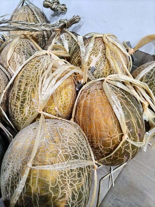 XORAZM Beruniy Qovunlari Andijonda Mazzasiga Baho Bering