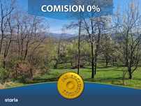 Teren Bradulet!!!Zona De Munte!!!
