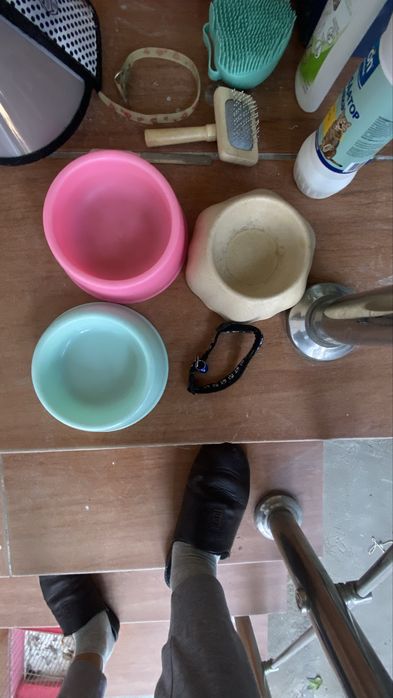 Mushular uchun mahsulotlar