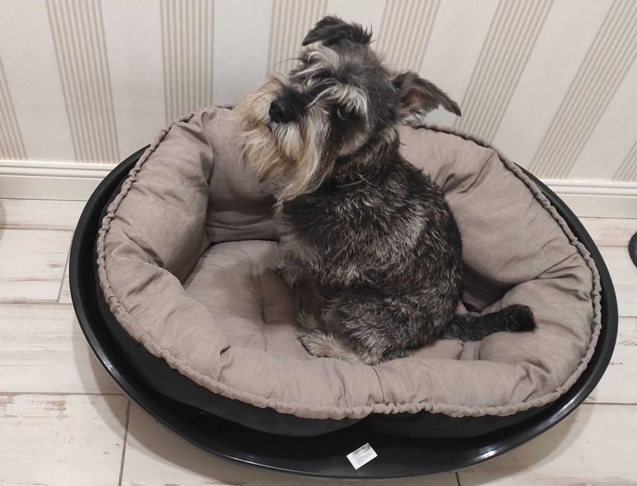 Продавам легло за куче - само легена 15 лв.