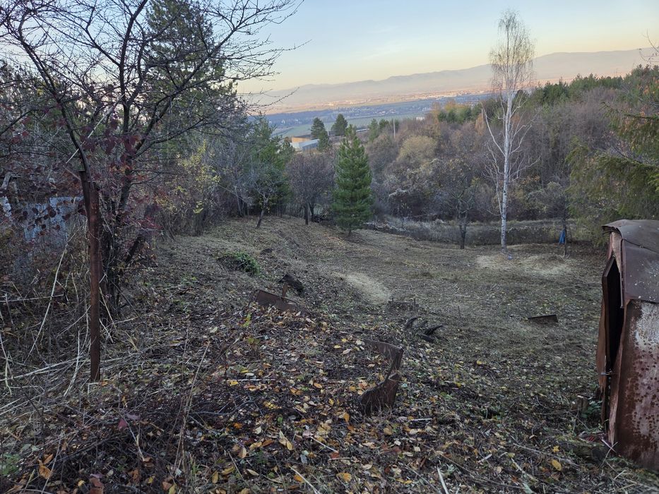 Почистване на запустели парцели и имоти