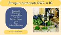 Struguri pentru vin - autorizati DOC si IG, Podgoria Nicoresti Galati