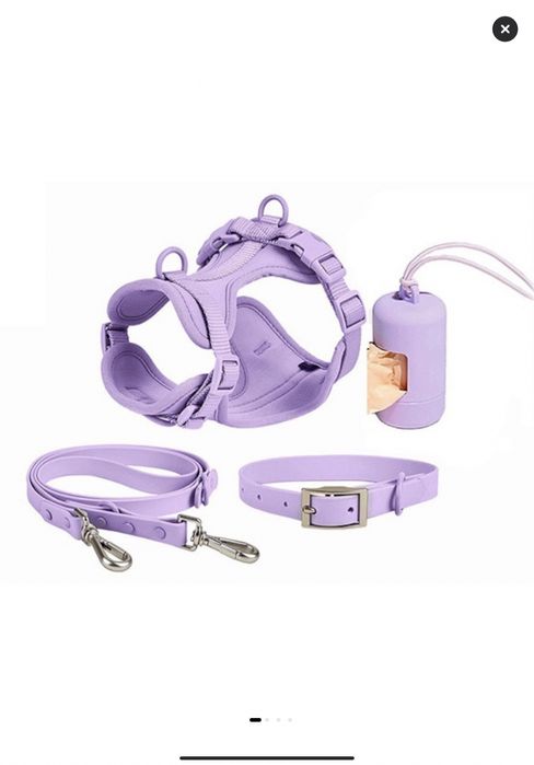 Set 4 piese, contine zgarda, lesa, ham si dispenser pentru pungi,