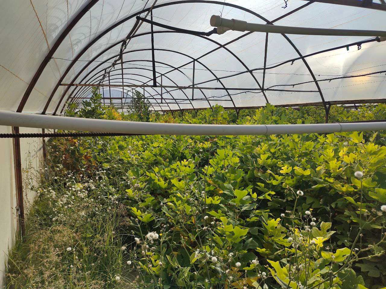 Продаётся нежилой объект под любой бизнес, 34 соток (Карасув МФЙ)