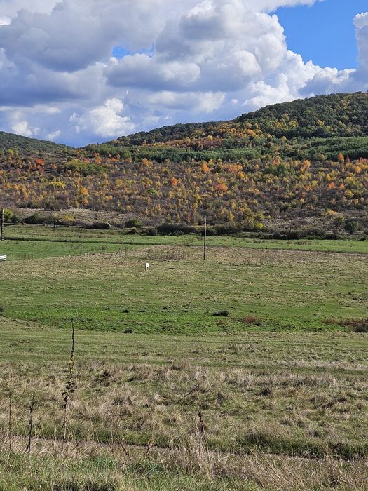 Vand TEREN - Crețeștii de Sus, jud. Huși, Vaslui