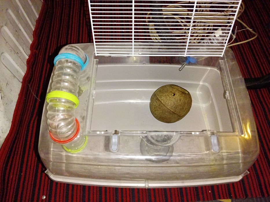 Vând cușcă pentru hamsteri