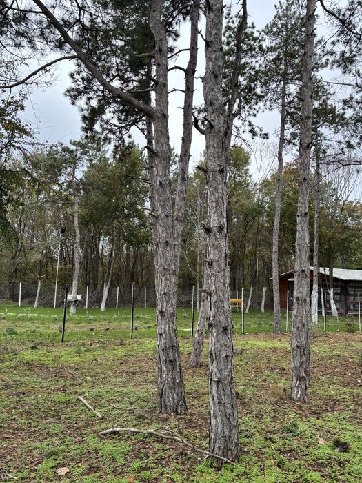 Продавам земя до плаж Вромос