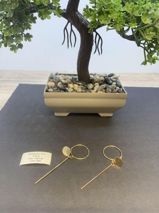 Cercei aur 14 k certificat anpc