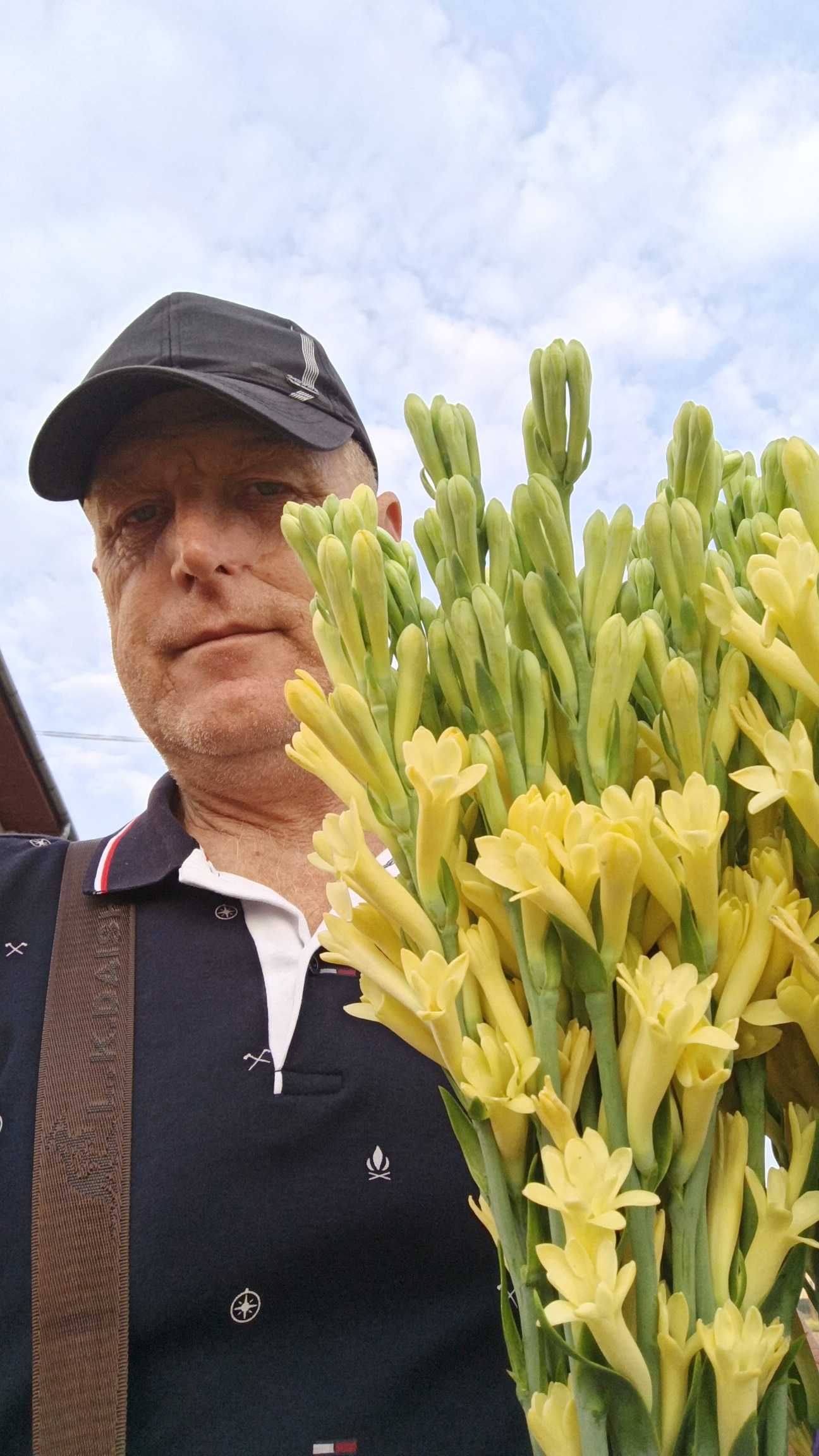 Bulbi de Tuberoze si Cale de vanzare
