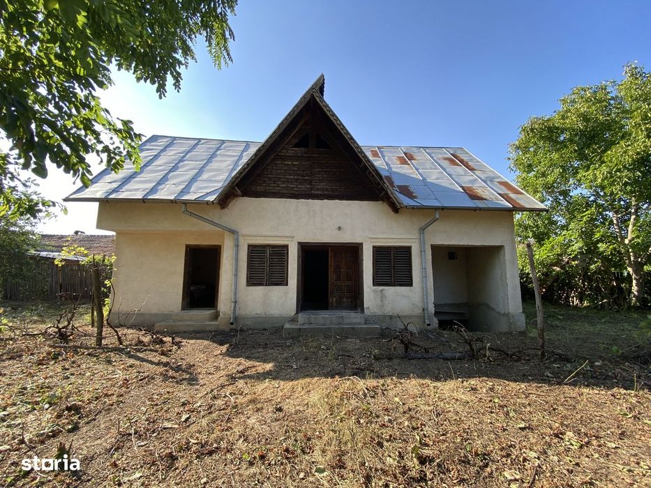 Casa de vânzare Craiova, satul Puțuri
