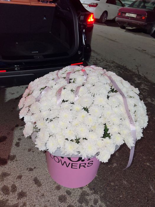 Цветы хризантемы огромные