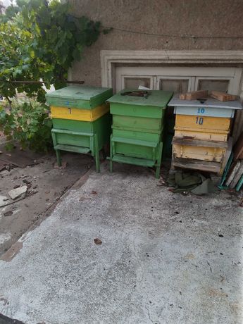 Пчелни кошери в добро състояние 6 броя 12 рамкови