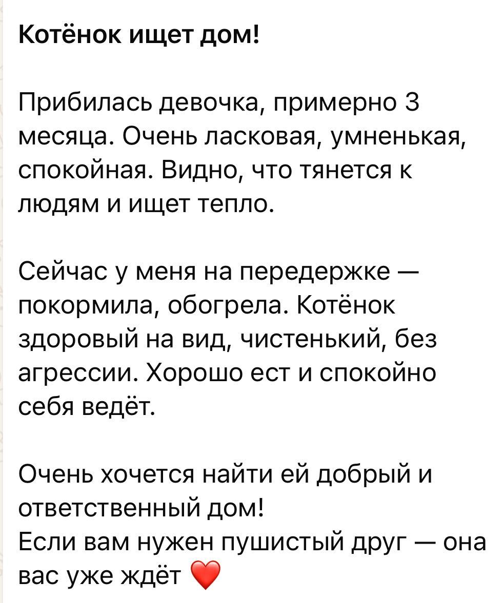 Котенок в добрые руки