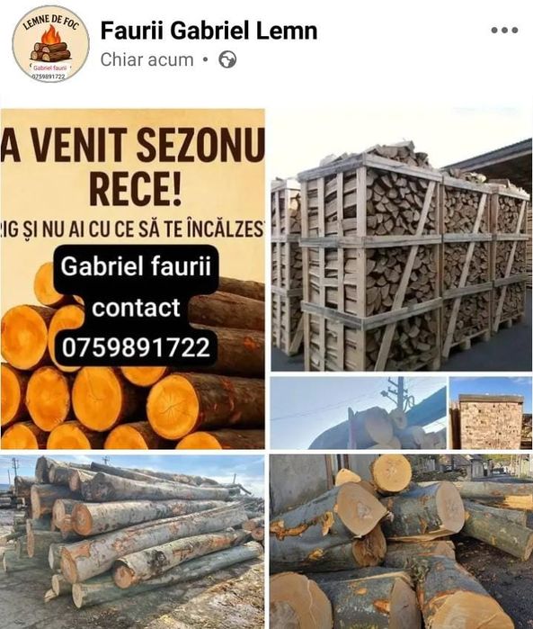 Lemne fag buștean și crepate
