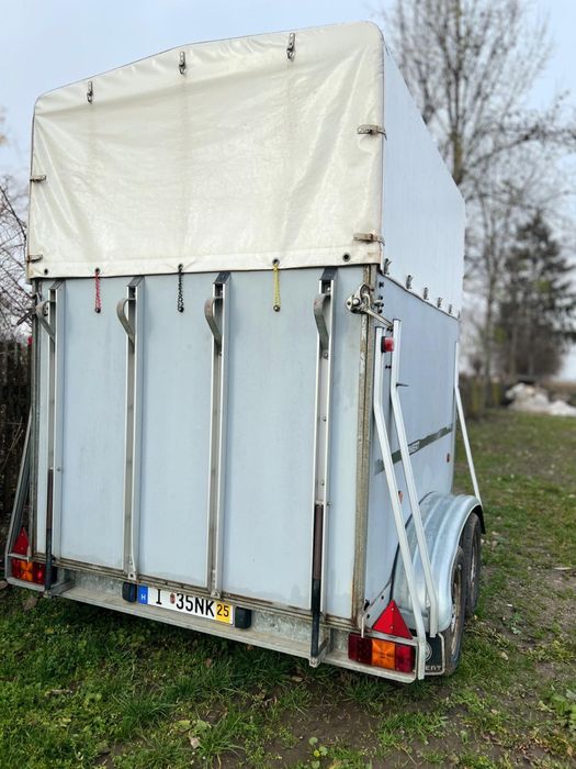 Remorca Transport animale Bolmert