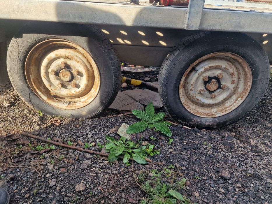 Vind platformă auto inmatriculată