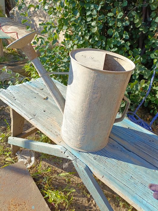 Оцинкованная лейка 10л