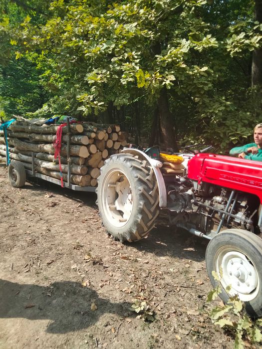 Vind periodic pentru carat lemne cu roti pe 16