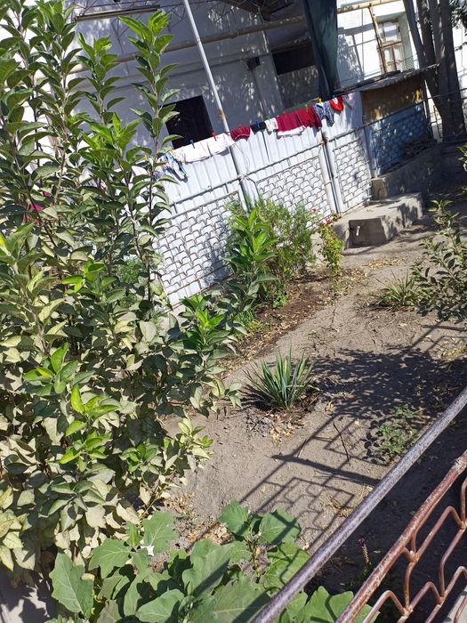 Уй сотилади срочна когон шахарда