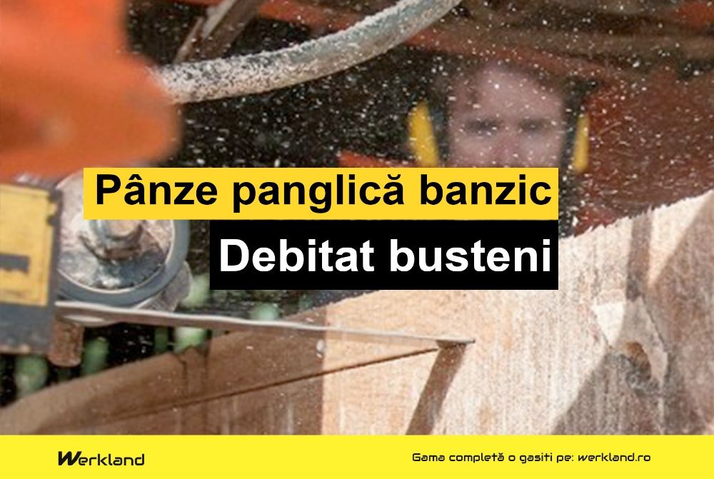 Panze panglica banzic busteni 4400x35x1.00x22.22 | Made in Germany