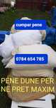 Pene dune perne plapome