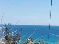 На море в бунгало за 3- ма до плаж в Кариани - 65 евро.