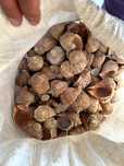 Scoici decorative pentru ornamente sau acvariu