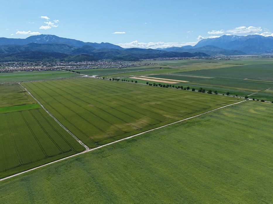Teren de vânzare într-un ansamblu rezidențial nou!