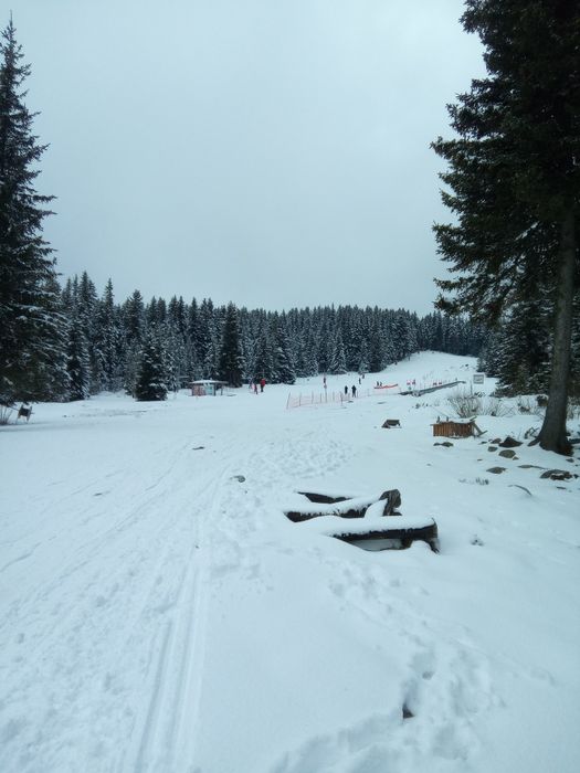 Преподавам индивидуални уроци по ски