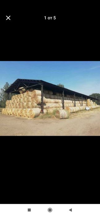 Рулонни бали-люцерна,сено и слама