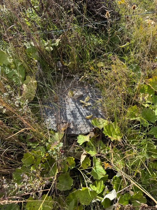 Teren intravilan Balcesti