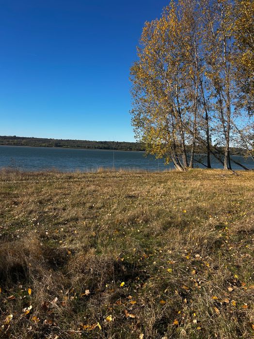 Teren direct la Dunăre