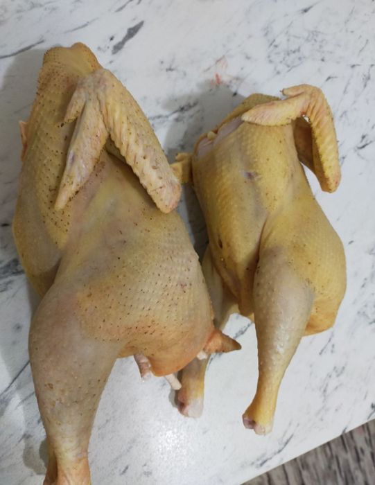 Pui/gaini/cocosi de casa/livrare la domiciliu/sunați pt detalii
