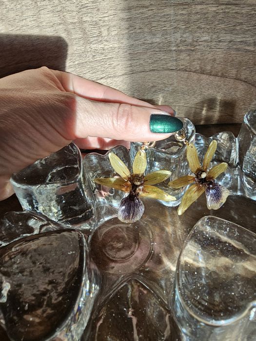 Обеци с естествен цвят на орхидея Камбрия.

Естествен цвят на орхидея