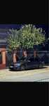 Vand bmw 320D M-pachet