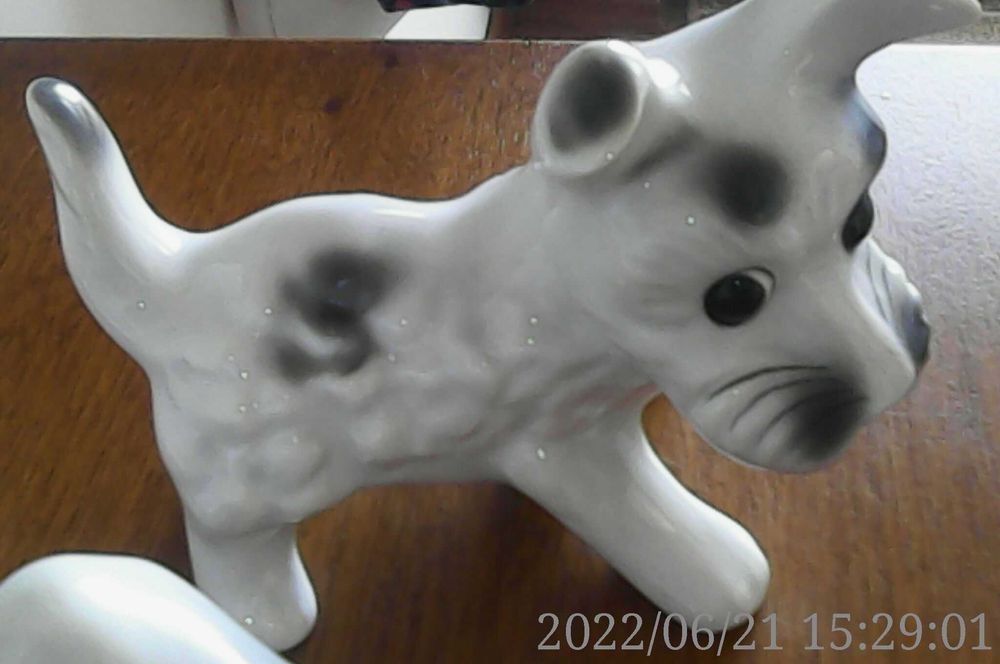 Catelusi Portelanul Alba Iulia