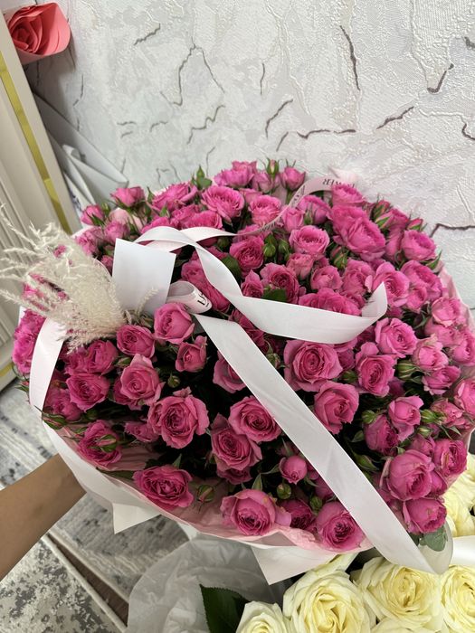 Спрей роза новый солмаган