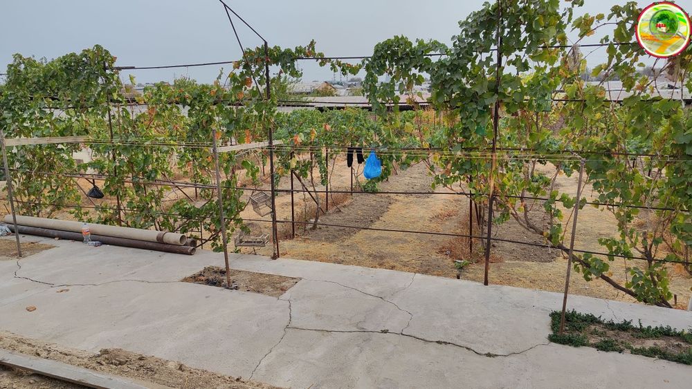 Продаётся Дом Участок Ункурган  4 ком 5 соток