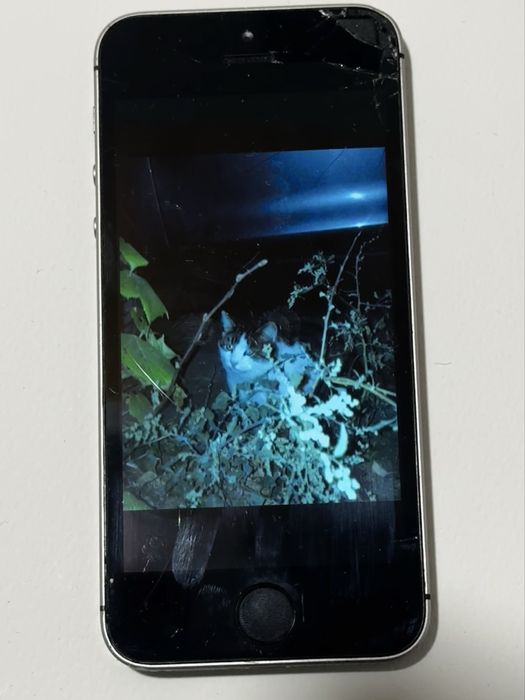 iPhone SE 1st gen (2016), 32GB, 100% батерия