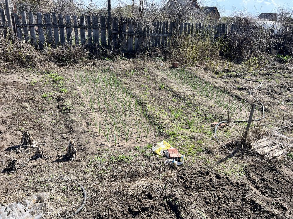 Огород Дача 7 общество 17 маршрут