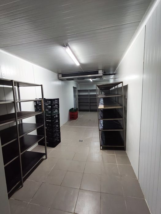 Fabrica autorizata lactate