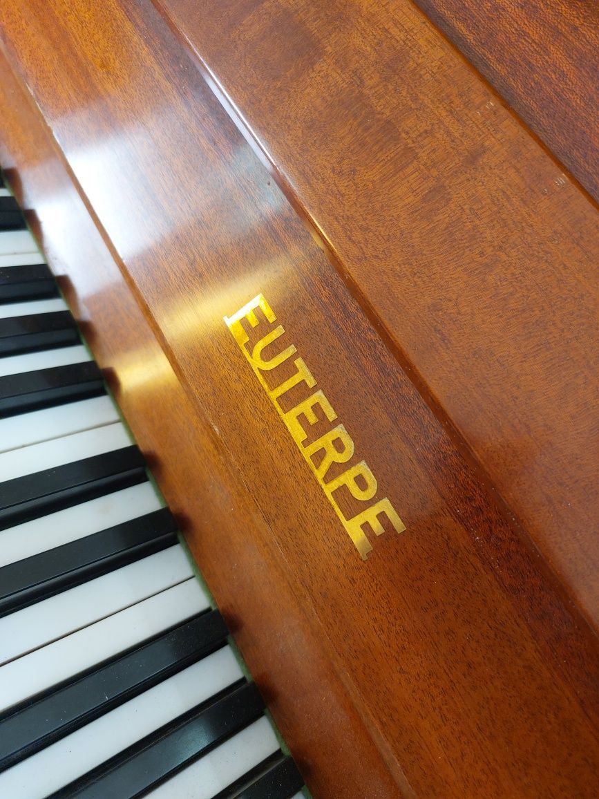 Pianina EUTERPE ( brand Bechstein)