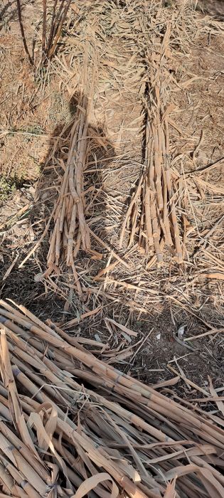 Бамбук сотилади...