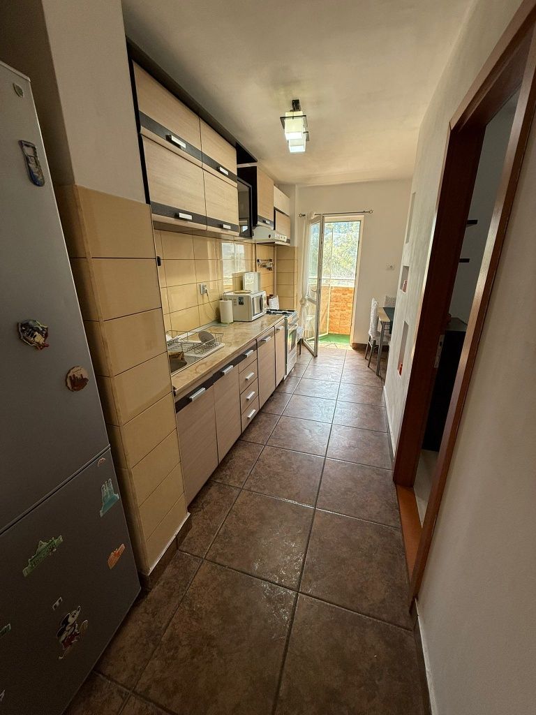 Apartament 1 camera