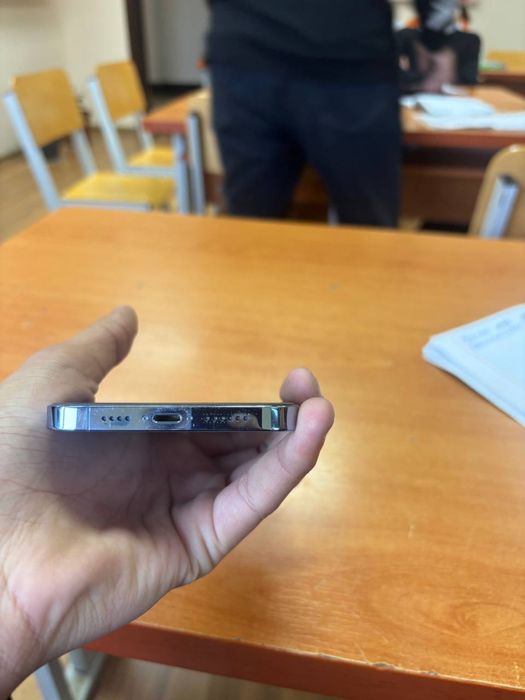 iPhone 13 pro max