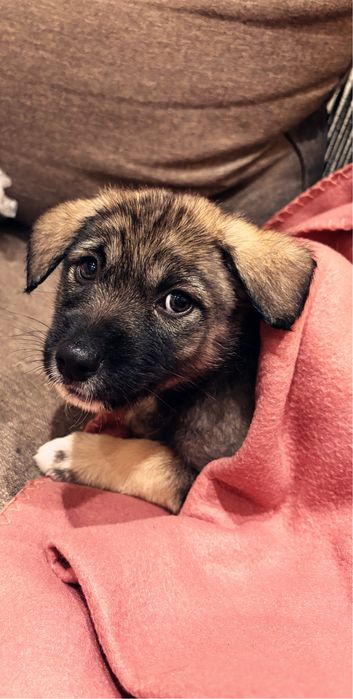 Подарява се бебе момиче