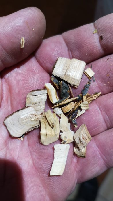 Tocator crengi, resturi vegetale - inchiriere