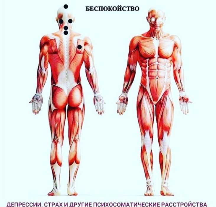 Профессиональный, Спортивно-силовой массаж. Опыт 11лет